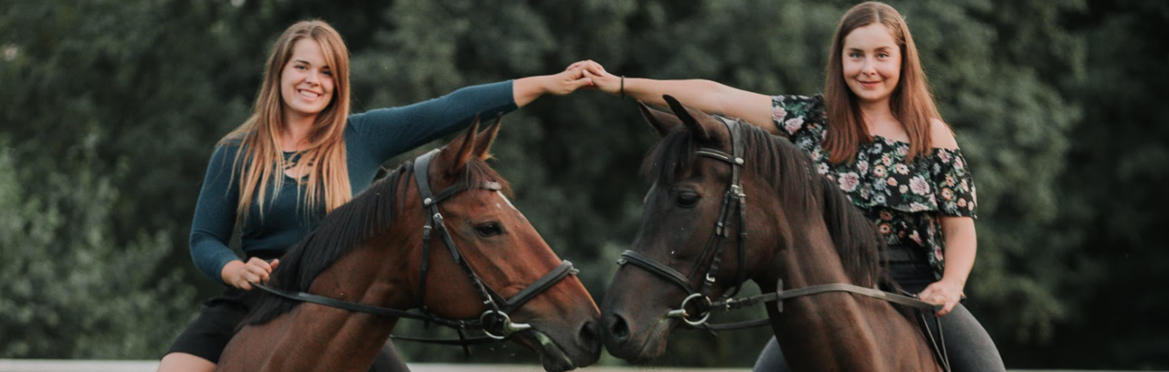 Obozy Stajnia Bursztynowa 2026